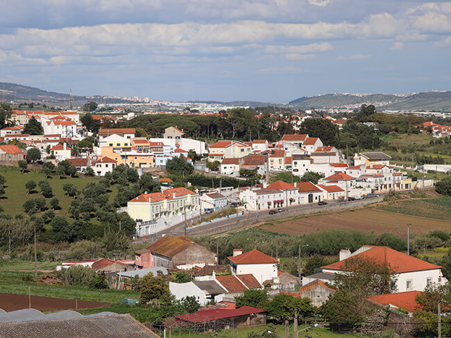 Tojalinho